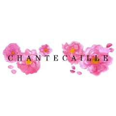 Chante Caille Discount Codes