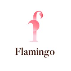 Flamingo Technologies