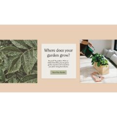 Modern Sprout Discount Codes