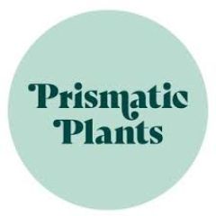 Prismatic Plants Discount Codes
