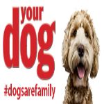 Your Dog Discount Codes