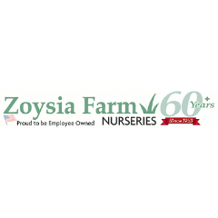 Zoysia Farm